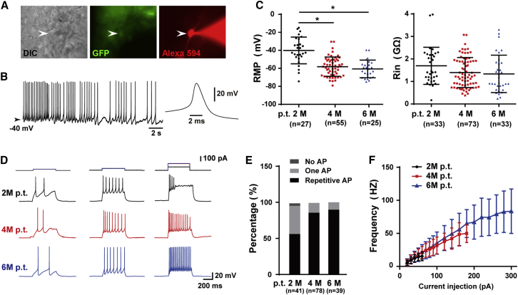 Figure 3