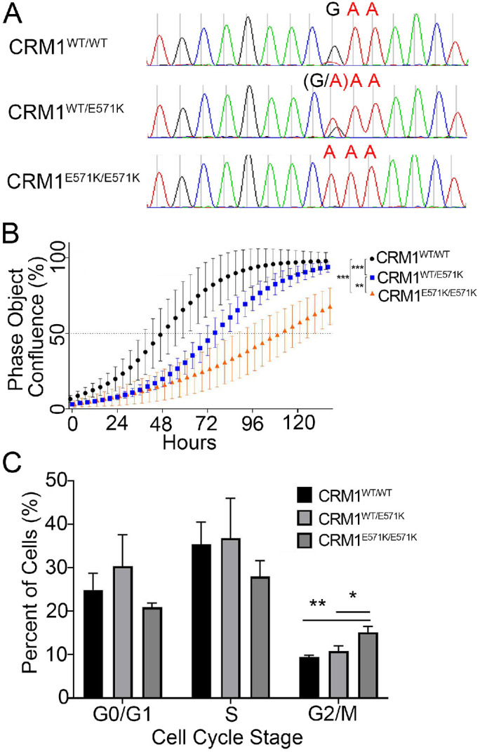 FIGURE 2: