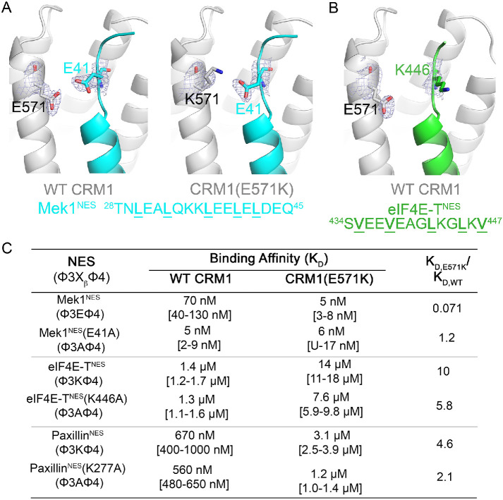 FIGURE 3: