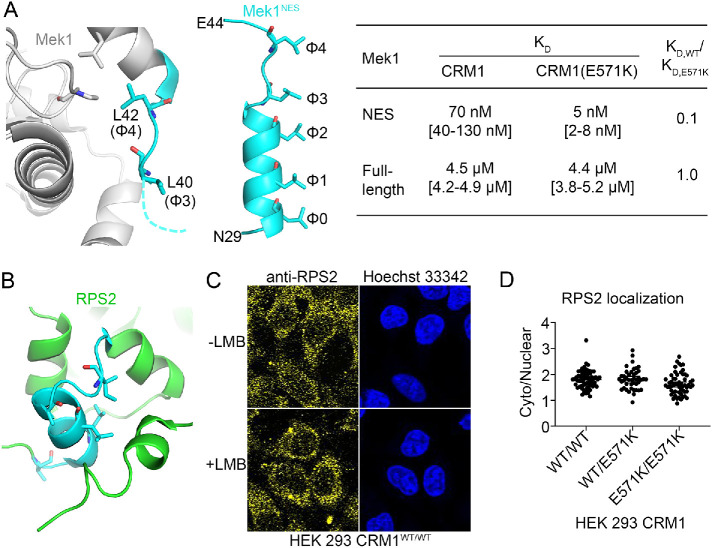 FIGURE 6: