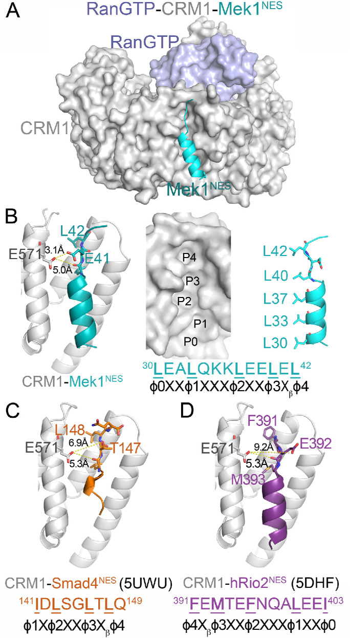 FIGURE 1: