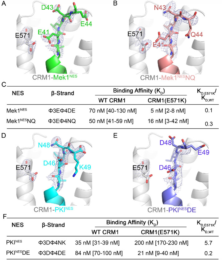 FIGURE 5: