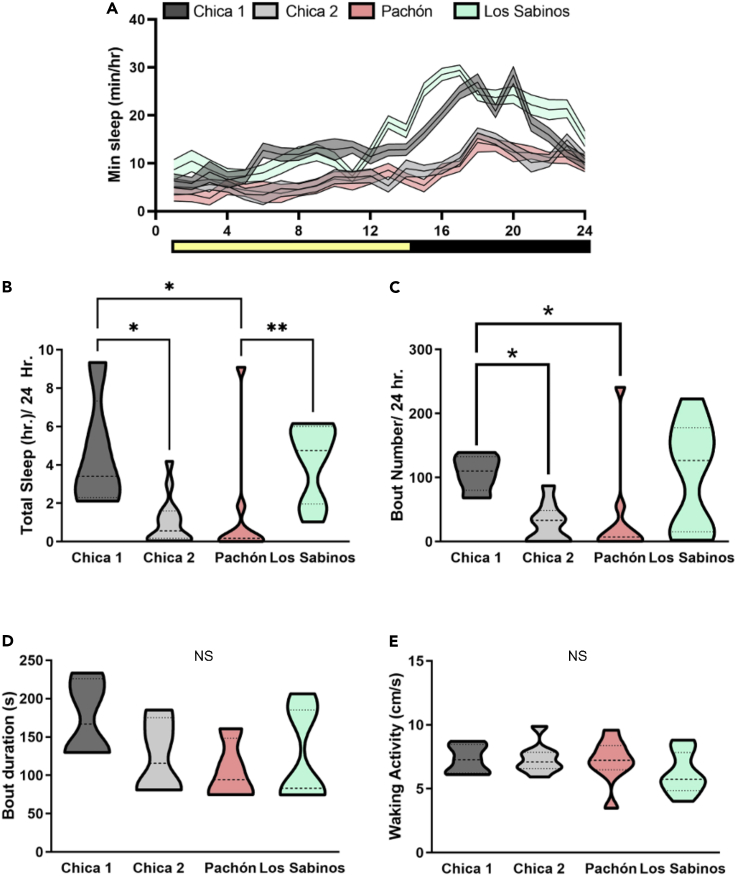 Figure 4