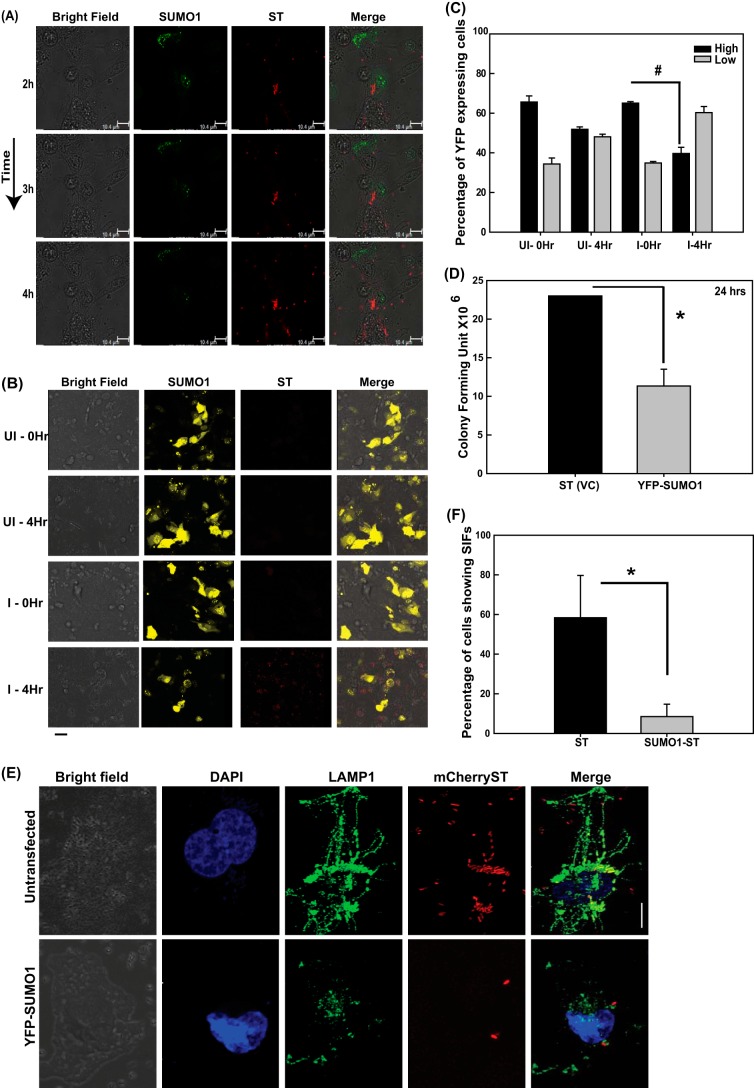 FIG 3