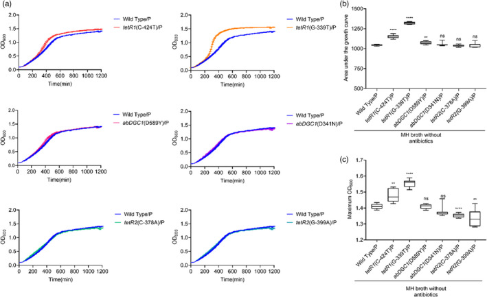 FIGURE 4