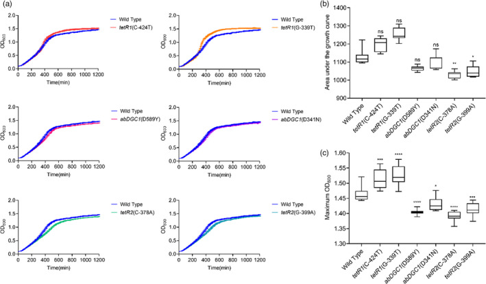 FIGURE 3