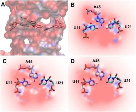 FIGURE 4.