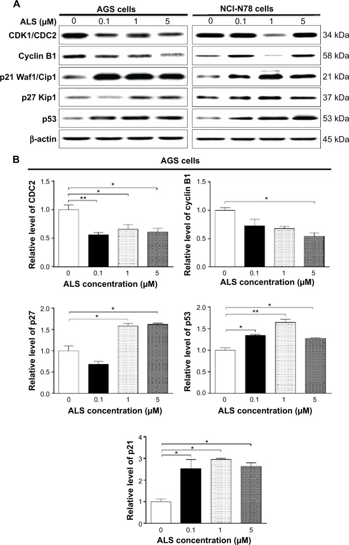 Figure 5