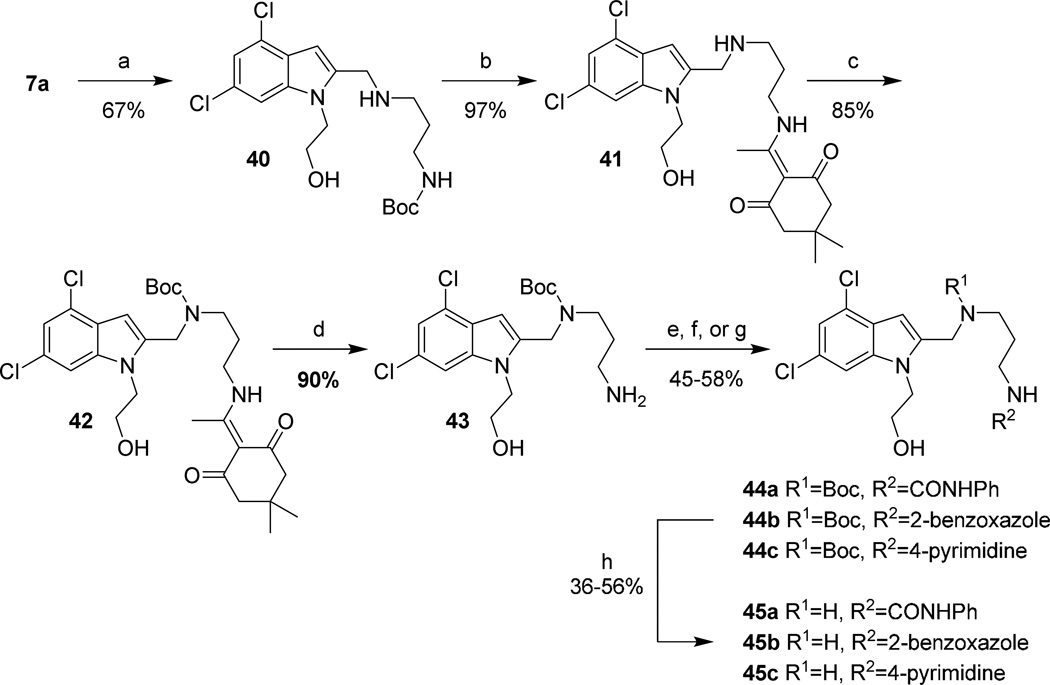 Scheme 12