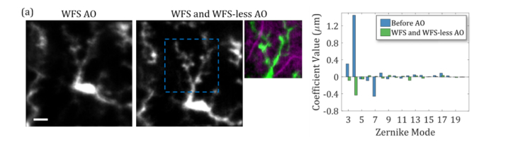 Fig. 7