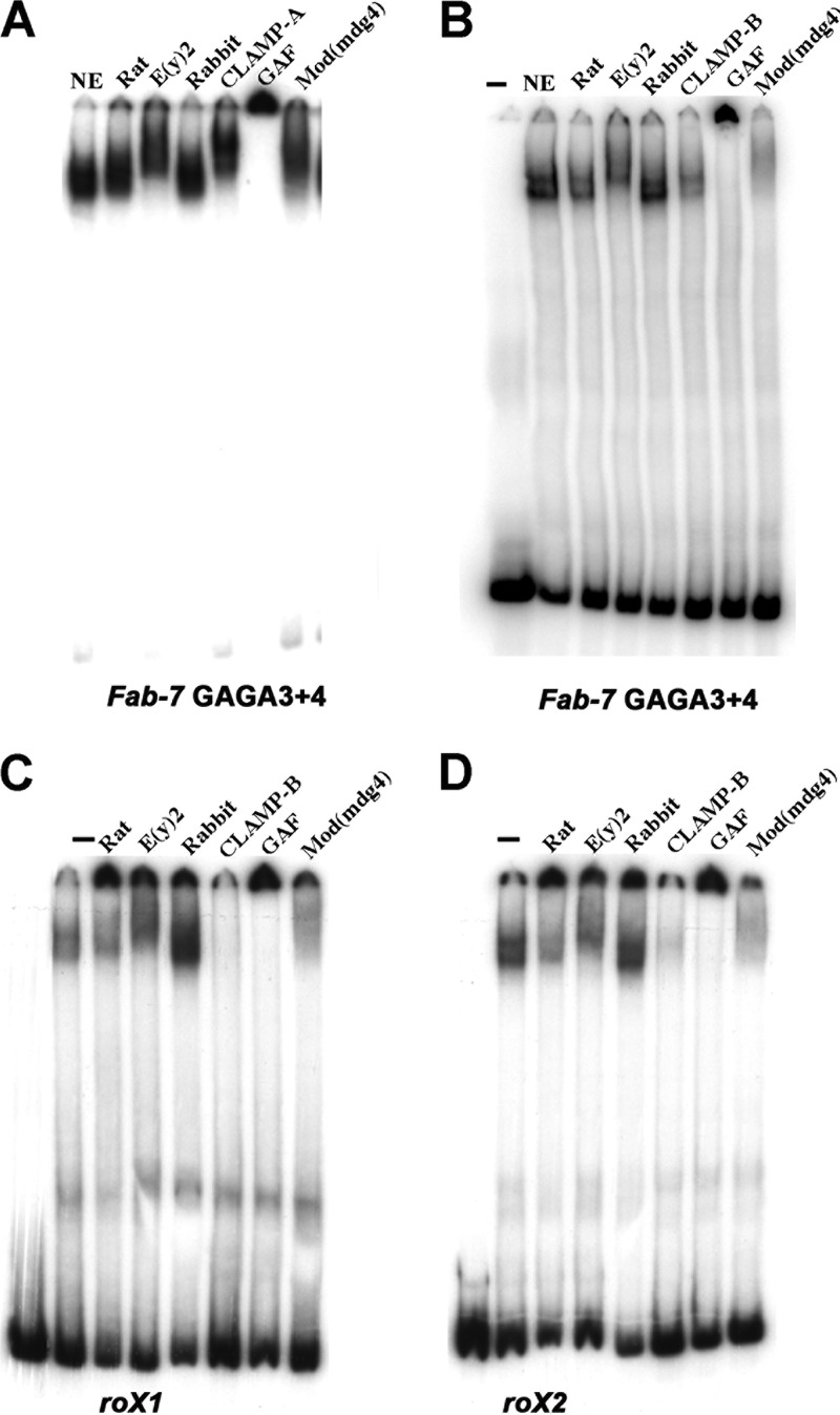 FIG 2