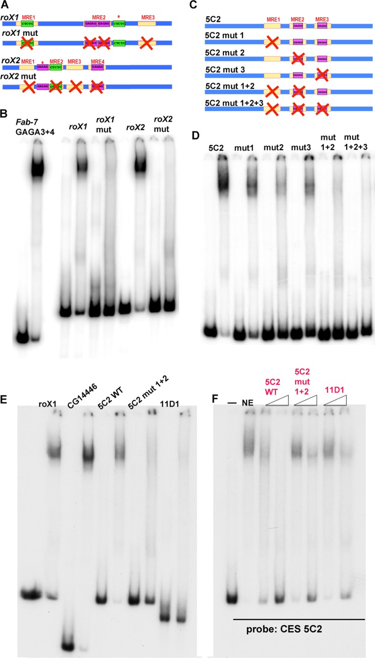 FIG 5