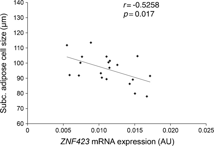 Fig. 6