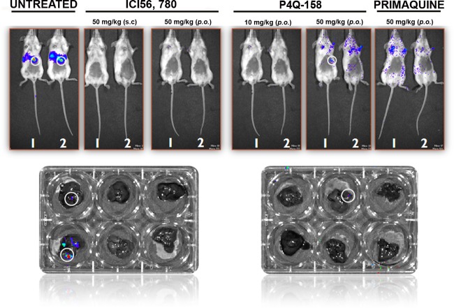 Fig 4