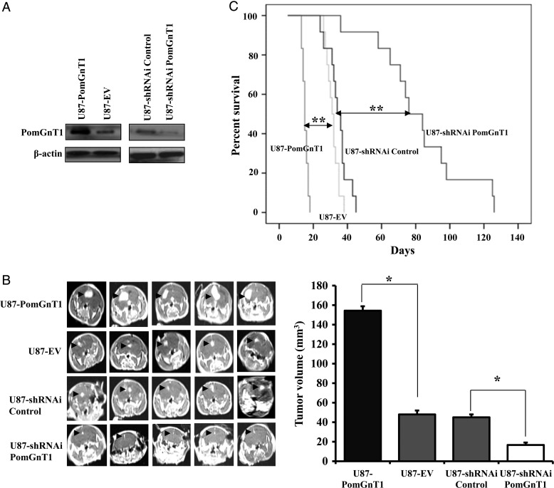 Fig. 2.