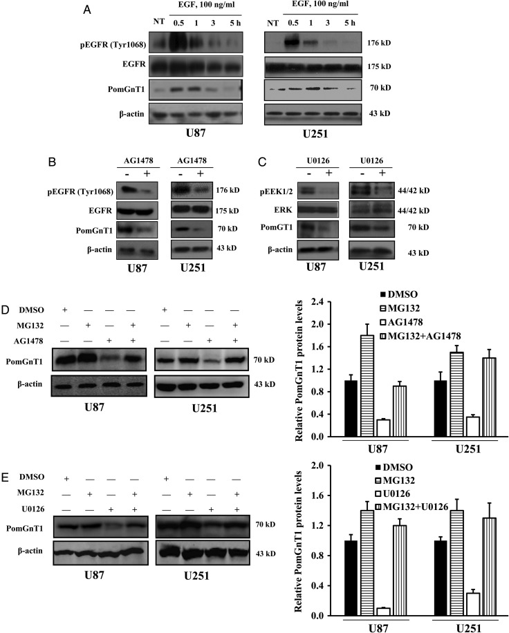 Fig. 4.