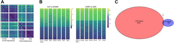 Figure 6