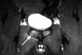 Figure 12.