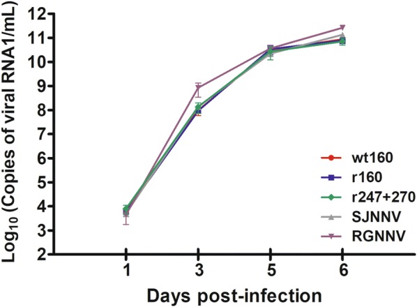 Figure 4