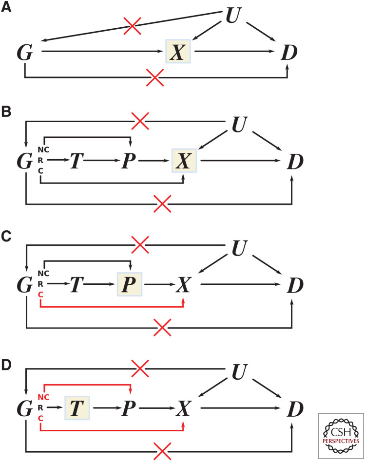 Figure 5.