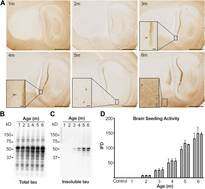 Figure 1