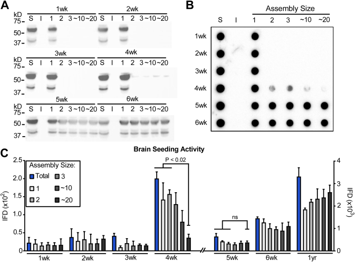 Figure 2