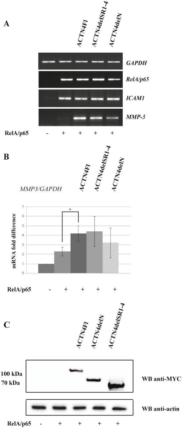 Figure 4