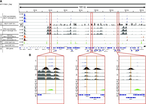 Figure 7.
