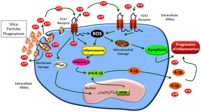 Figure 15