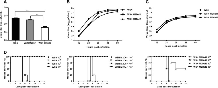 FIG 6