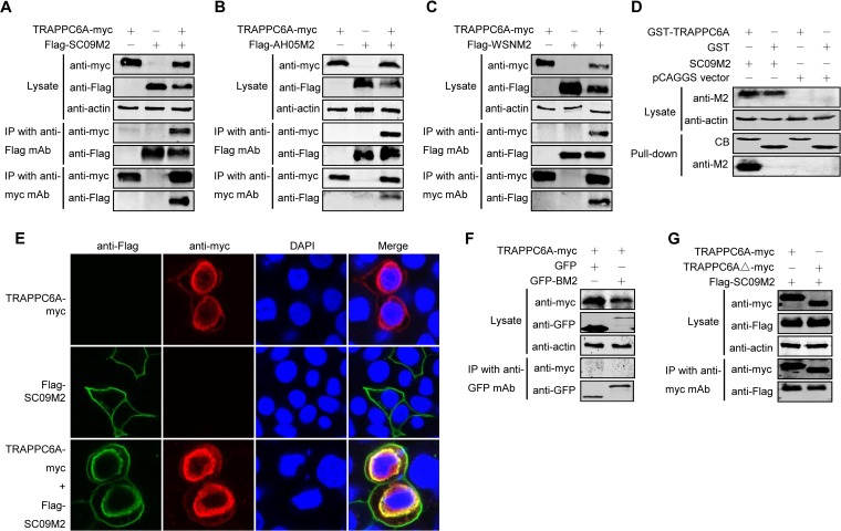 FIG 2