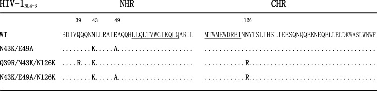 FIG 2