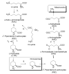 Fig. 2