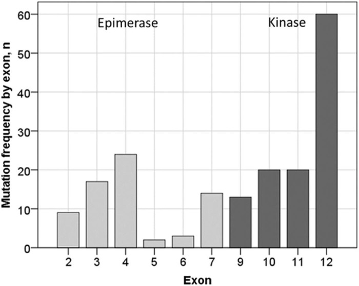 Fig. 3