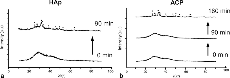 Fig.6.