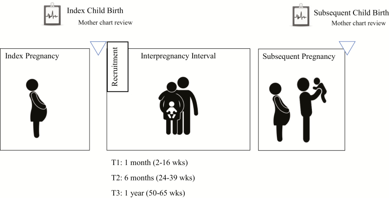 Fig. 1.