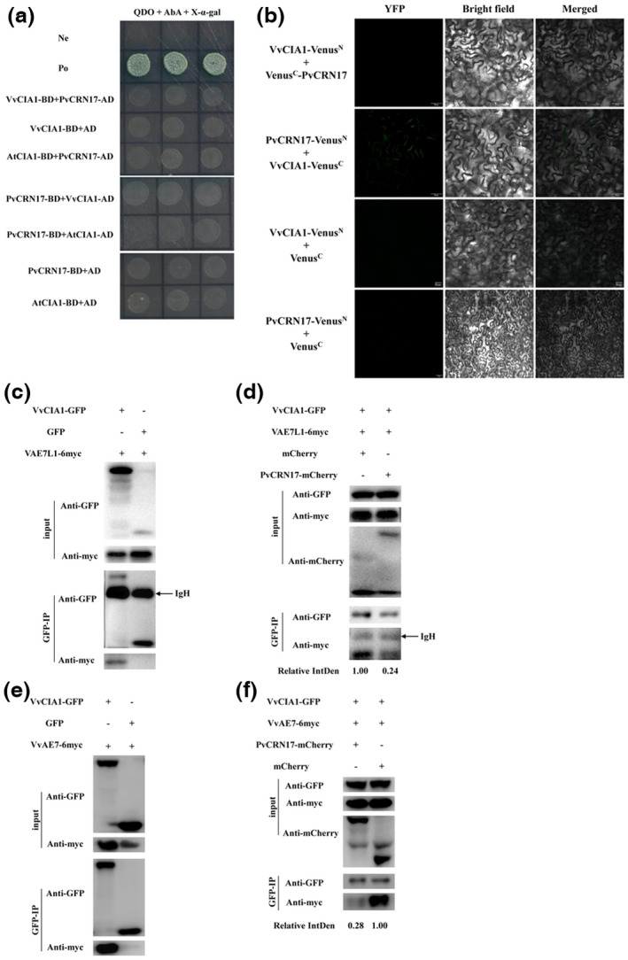 FIGURE 7