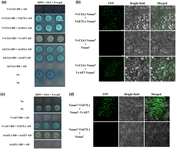 FIGURE 4