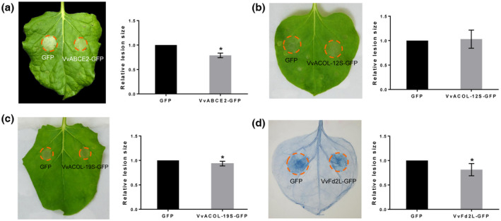 FIGURE 6