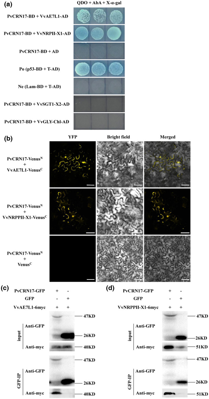 FIGURE 3