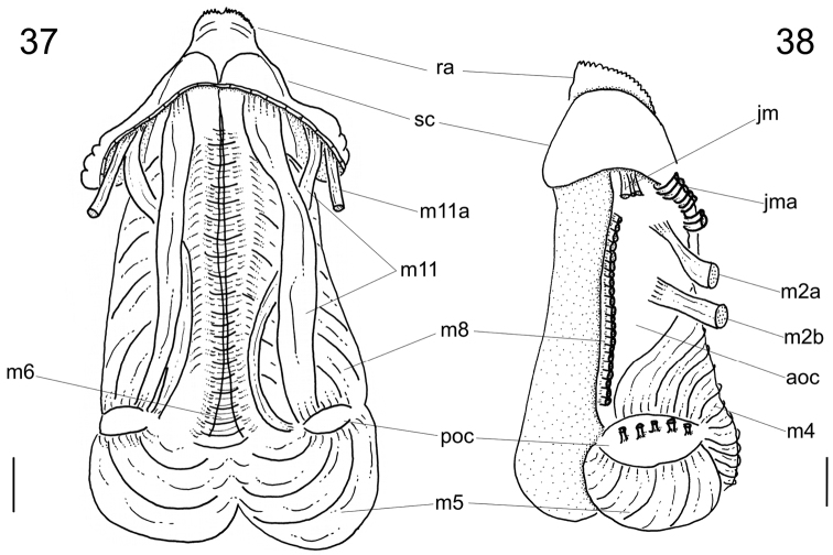 Figures 37–38.