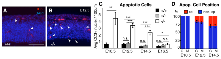 Fig. 8.