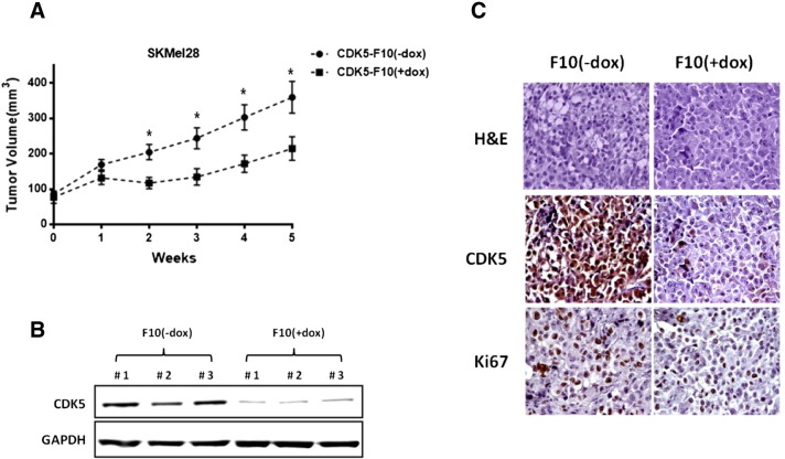 Figure 4