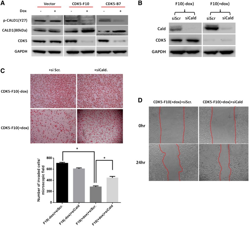 Figure 6