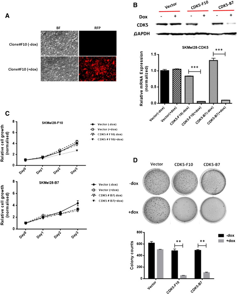 Figure 2