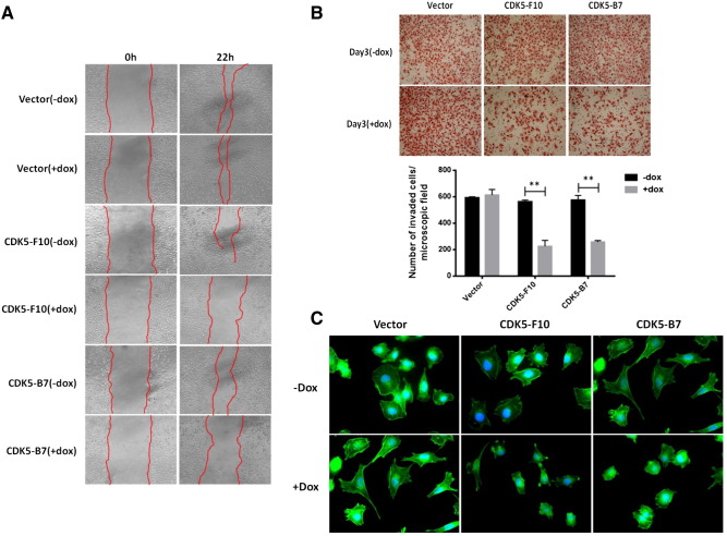 Figure 3