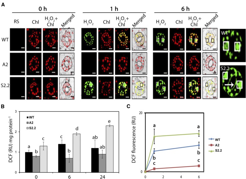 Figure 2.