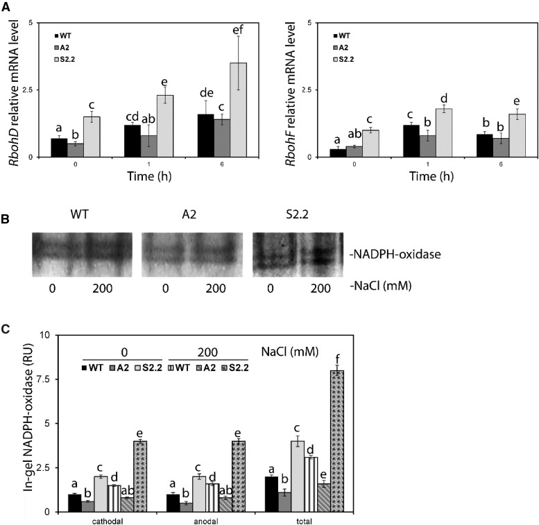 Figure 5.