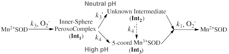 Scheme 2.