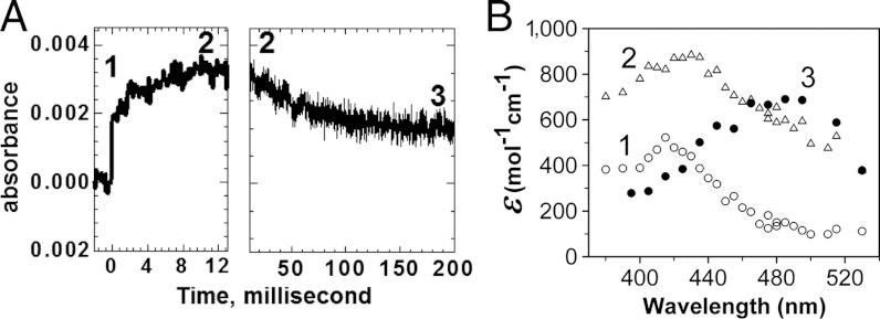 Fig. 3.